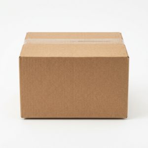 10x8x6 Single-Wall Corrugated Box