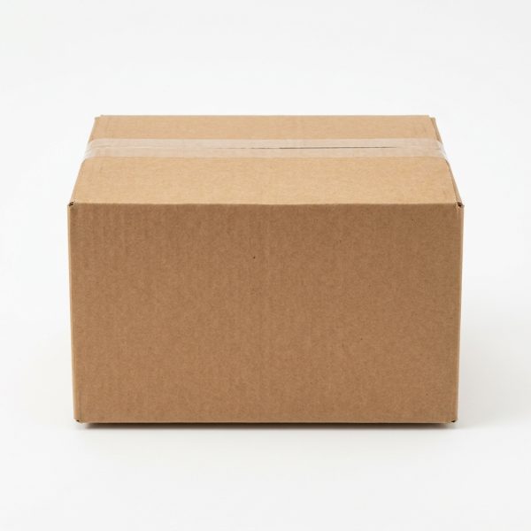 10x8x6 Single-Wall Corrugated Box