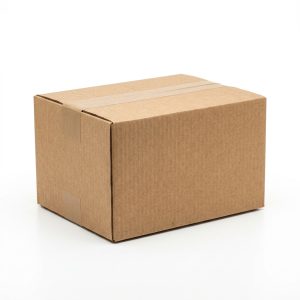 12x9x6 Single-Wall Corrugated Box