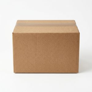 14x10x8 Single-Wall Corrugated Box