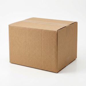 20x16x14 Double-Wall Corrugated Box