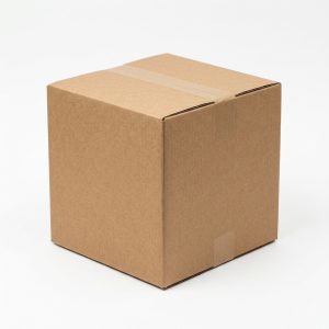 20x20x20 Double-Wall Corrugated Box