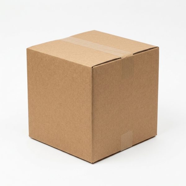 20x20x20 Double-Wall Corrugated Box