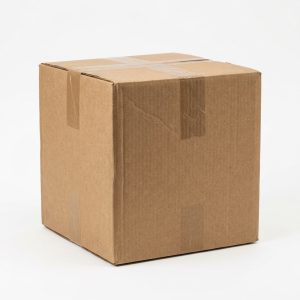 20x20x20 Single-Wall Corrugated Box