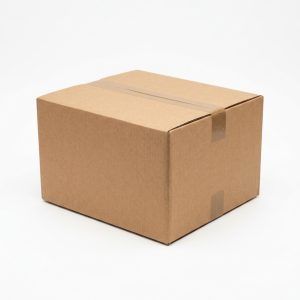 22x18x12 Double-Wall Corrugated Box