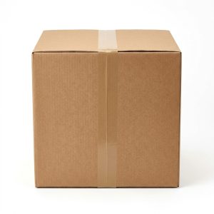 24x24x18 Double-Wall Corrugated Box
