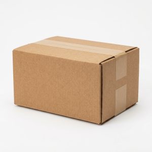 8x6x4 Single-Wall Corrugated Box